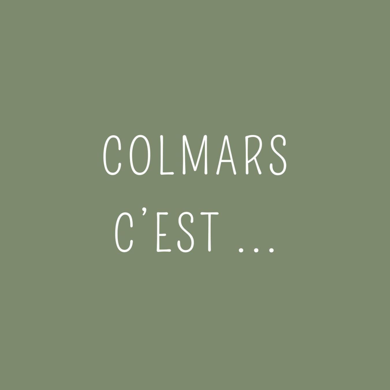 Maison Familiale Des Remparts Colmars Eksteriør bilde